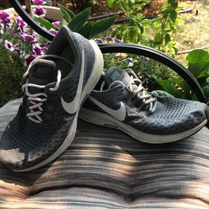 Nike Zoom Pegasus 35